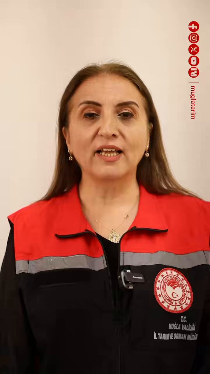 Muğla'da 2025 Yılı Buzağı Destekleme Başvuruları Başladı