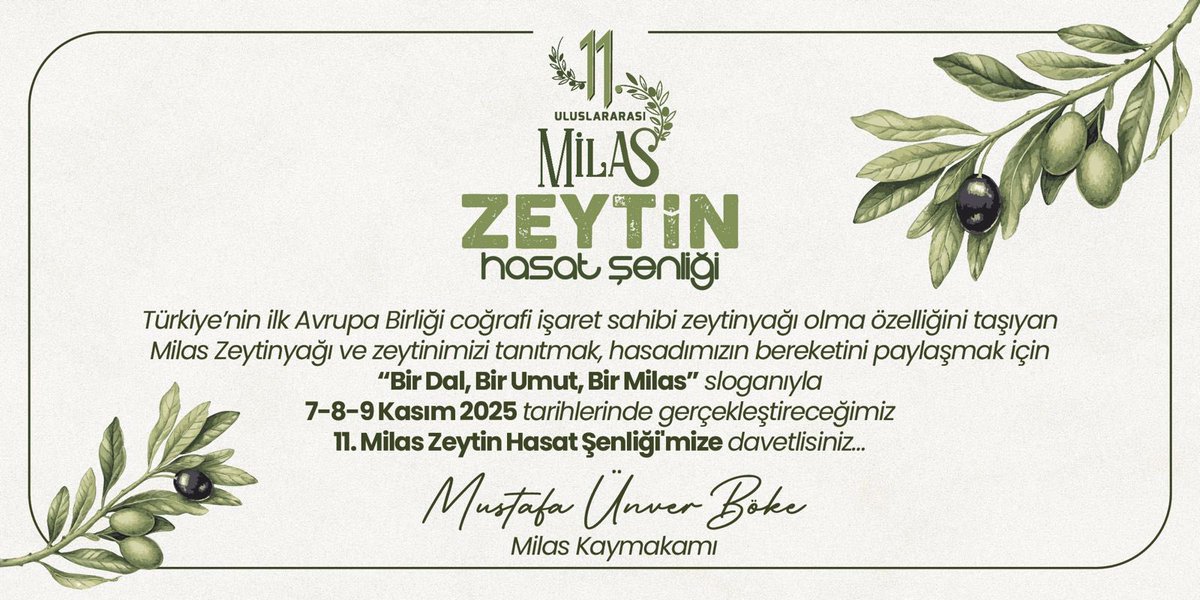 Milas Zeytinyağı'nın Coğrafi İşaret Gururu: 11. Uluslararası Zeytin Hasat Şenliği