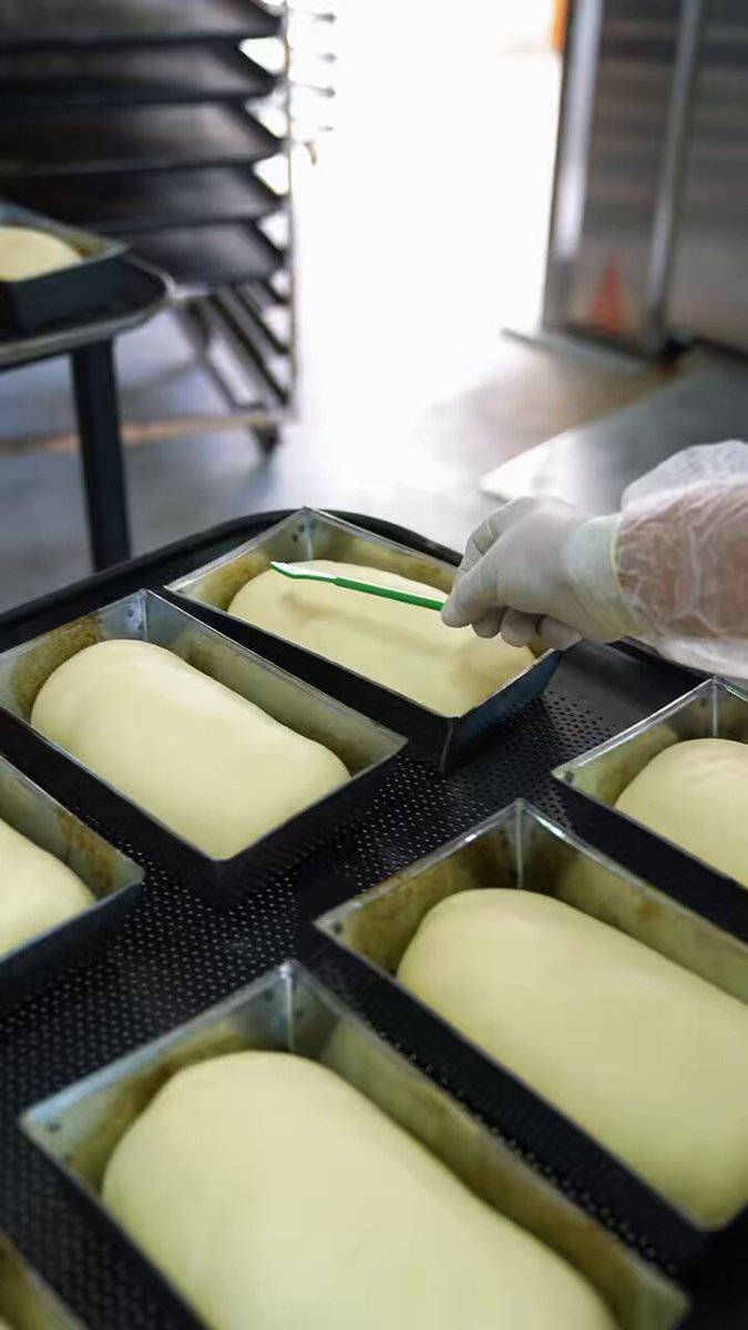 Dalaman'da Sağlıklı Ekmek Seçeneği: Ferdi Zeyrek Halk Ekmek Fabrikası Ekşi Mayalı Ekmek Üretimine Başladı