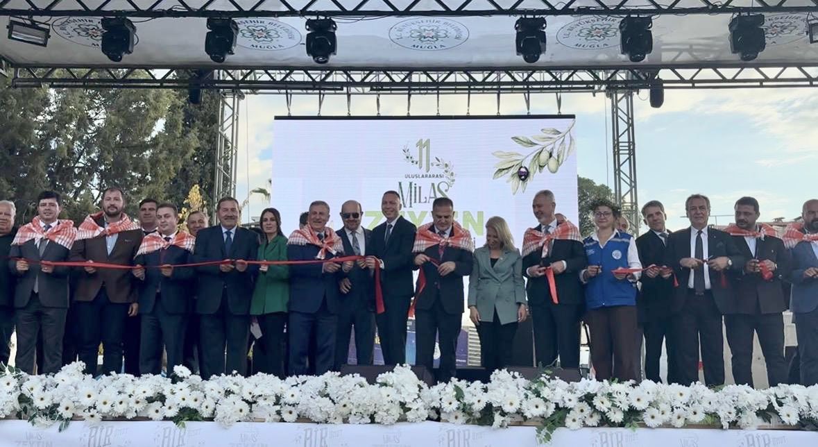 Milas'ta Geleneksel Zeytin Hasat Şenliği Başladı