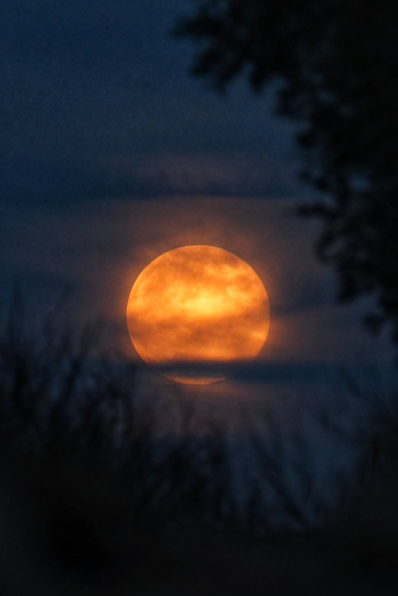 Bodrum'da Gökyüzü Şöleni: Kunduz Dolunayı İzleyenleri Büyüledi