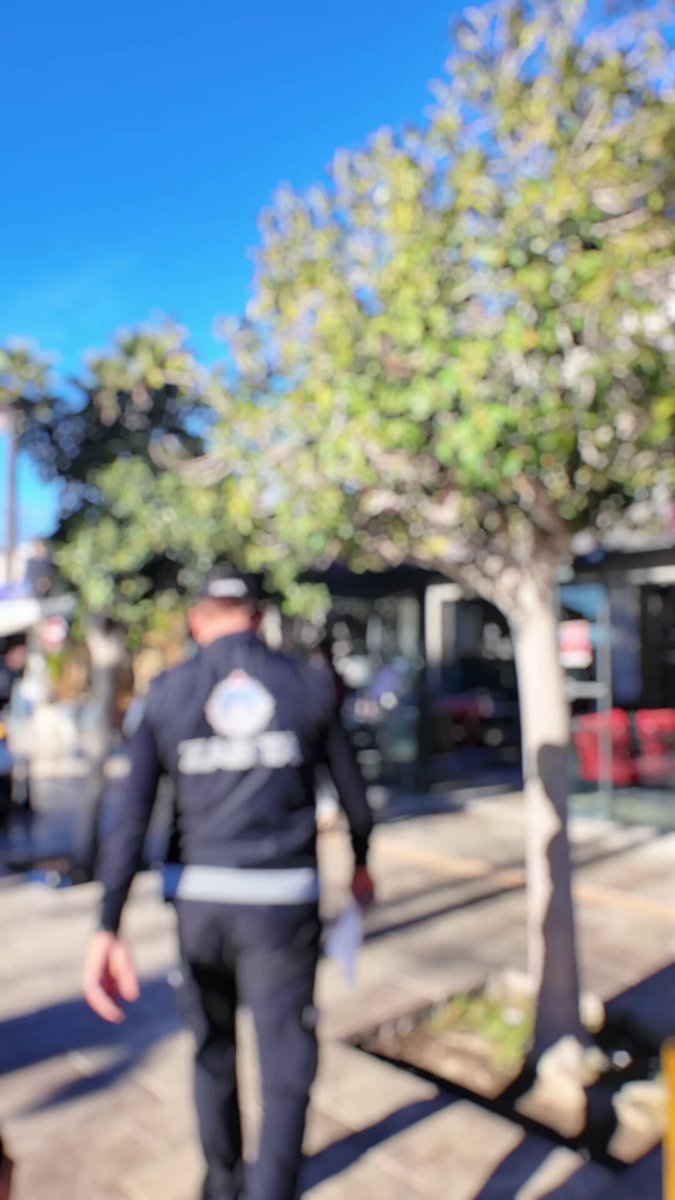 Bodrum'da Gıda Denetimleri: 161 İşletme Kontrol Altına Alındı