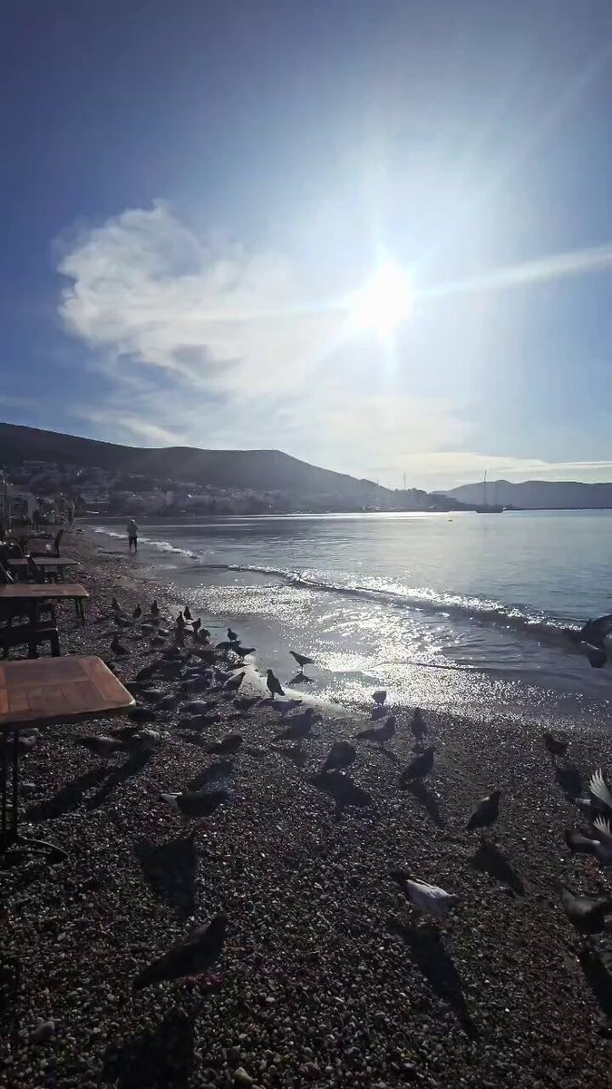 Bodrum'da Mavi Gökyüzü ve Güneşli Hafta Başlangıcı