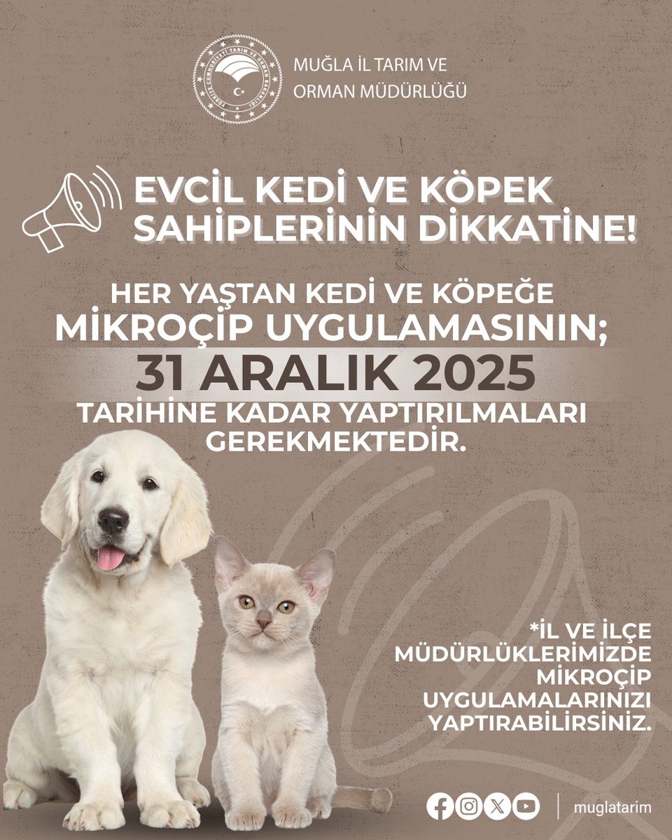 Muğla'da Evcil Hayvan Sahipleri İçin Mikroçip Zorunluluğu: Son Tarih 31 Aralık 2025