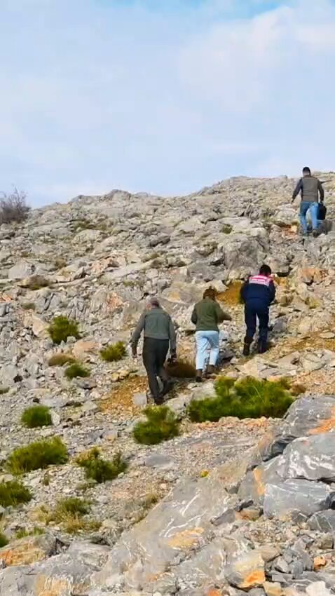 Muğla'da Yaban Keçileri Drone ile Koruma Altında