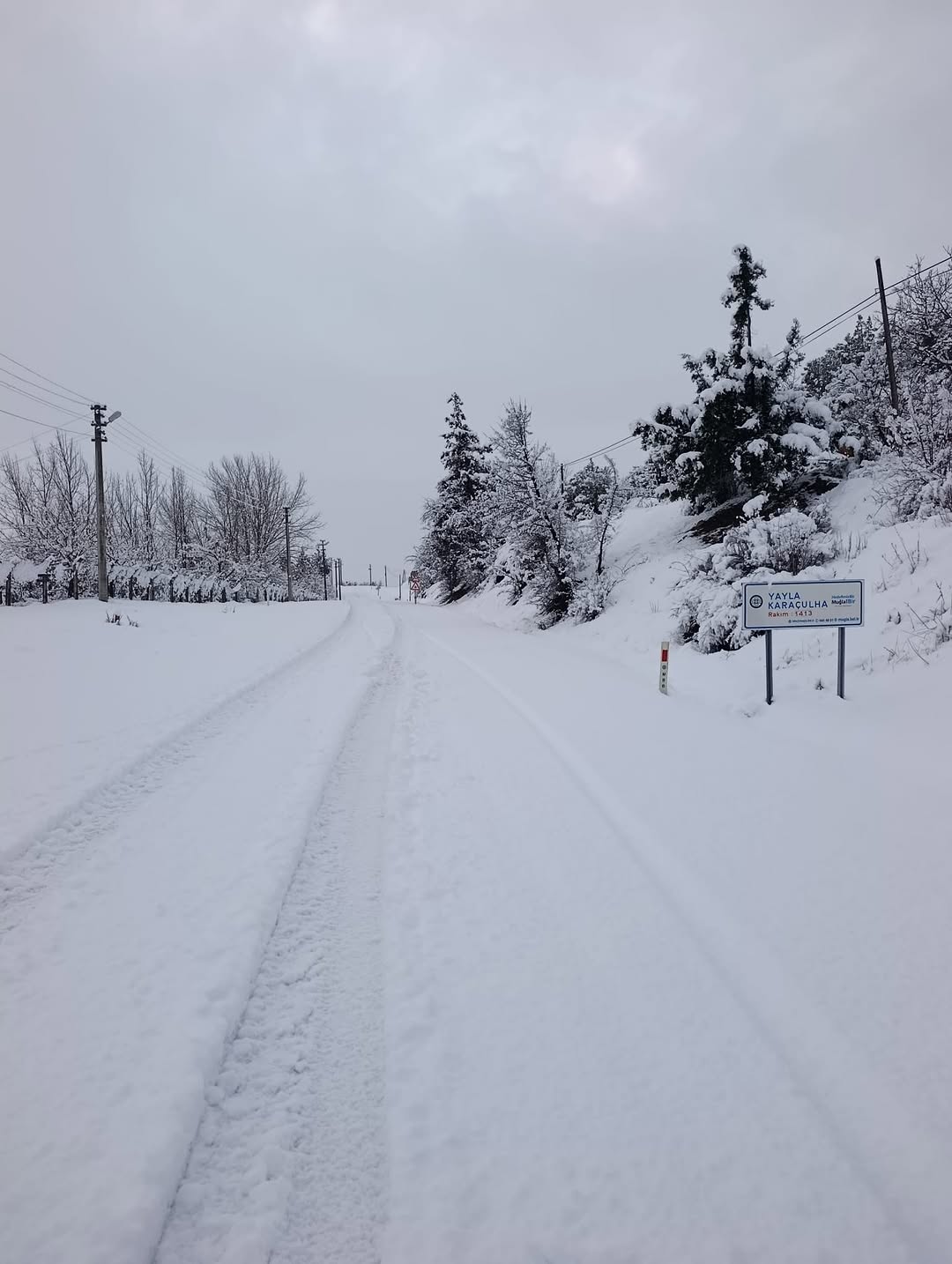 Muğla'da Yoğun Kar Yağışına Anında Müdahale: Yol Açma Çalışmaları Sürüyor