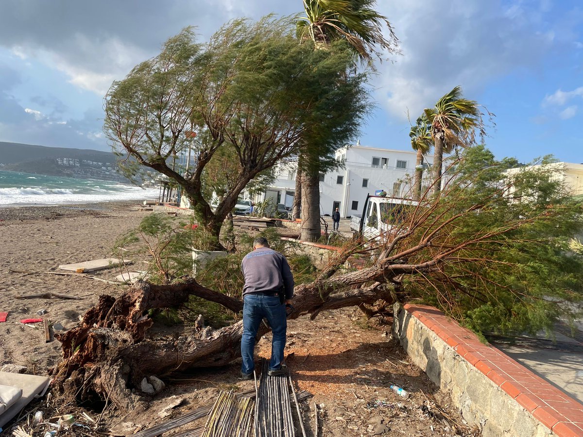 Bodrum'da Şiddetli Rüzgarın Yarattığı Hasara Karşı Ekipler Seyir Halinde