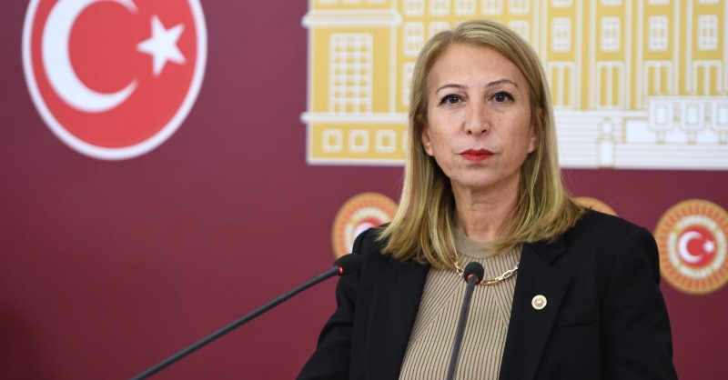 CHP Milletvekili Süreyya Öneş Derici, Bodrum Sahil Güvenlik Askeri Liman Projesiyle İlgili Meclis'e Soru Önergesi Sundu