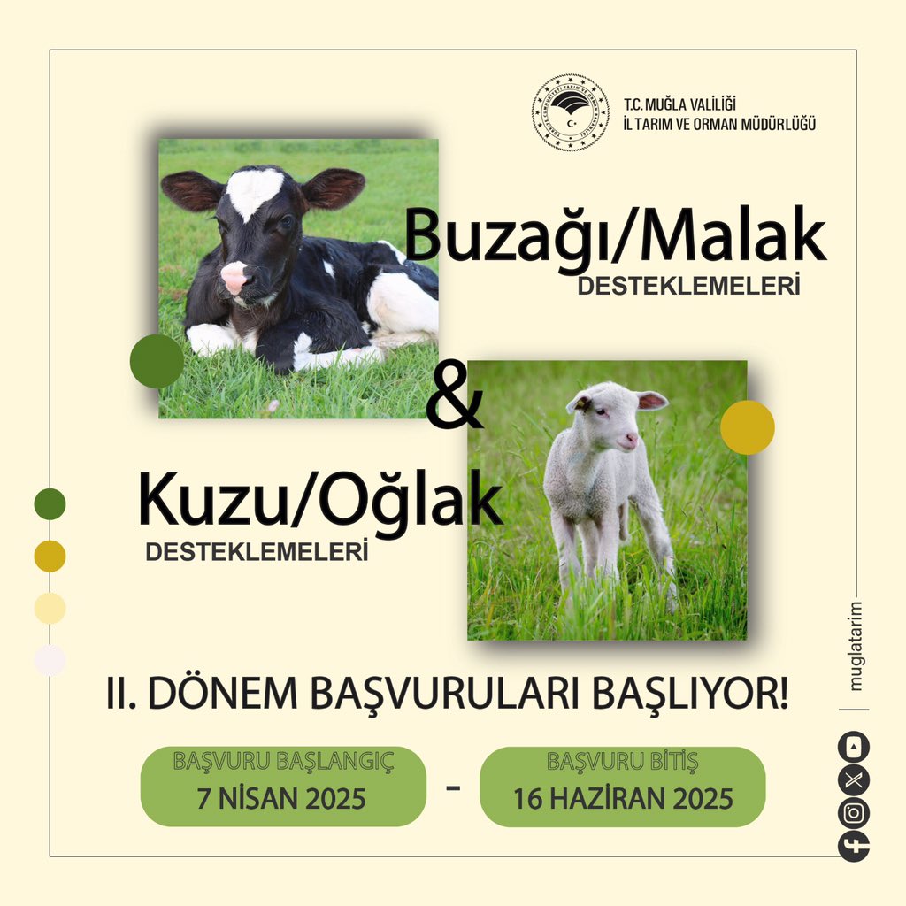 Muğla'da Hayvancılık Desteklemeleri Başlıyor