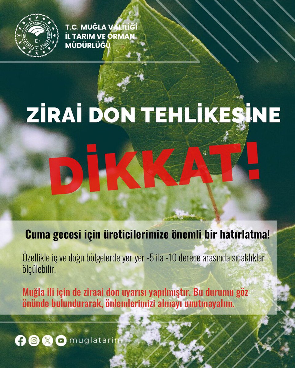 Muğla'da Zirai Don Tehlikesi: Üreticilere Uyarı