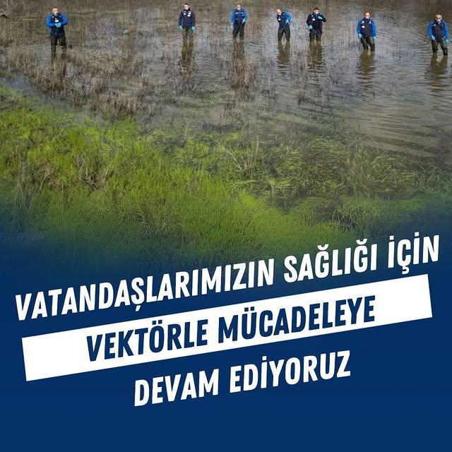Muğla'da 12 Ay Süren Vektörle Mücadele Çalışmaları Devam Ediyor