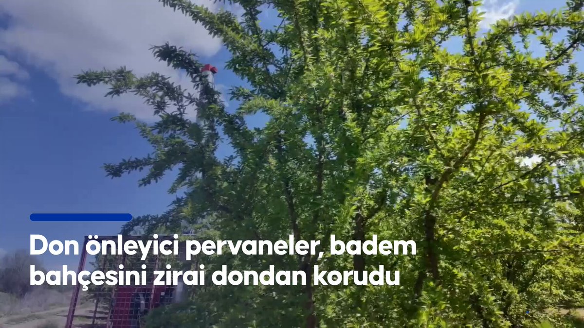 Muğla'da Tarım Üreticisi Hava Muhalefetine Karşı Destekleniyor