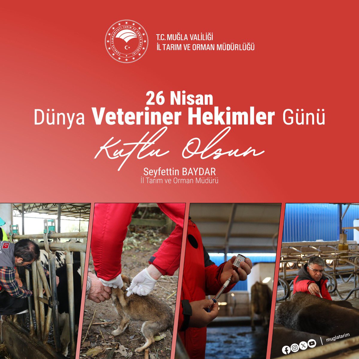 Veteriner Hekimler Günü Muğla'da Kutlandı