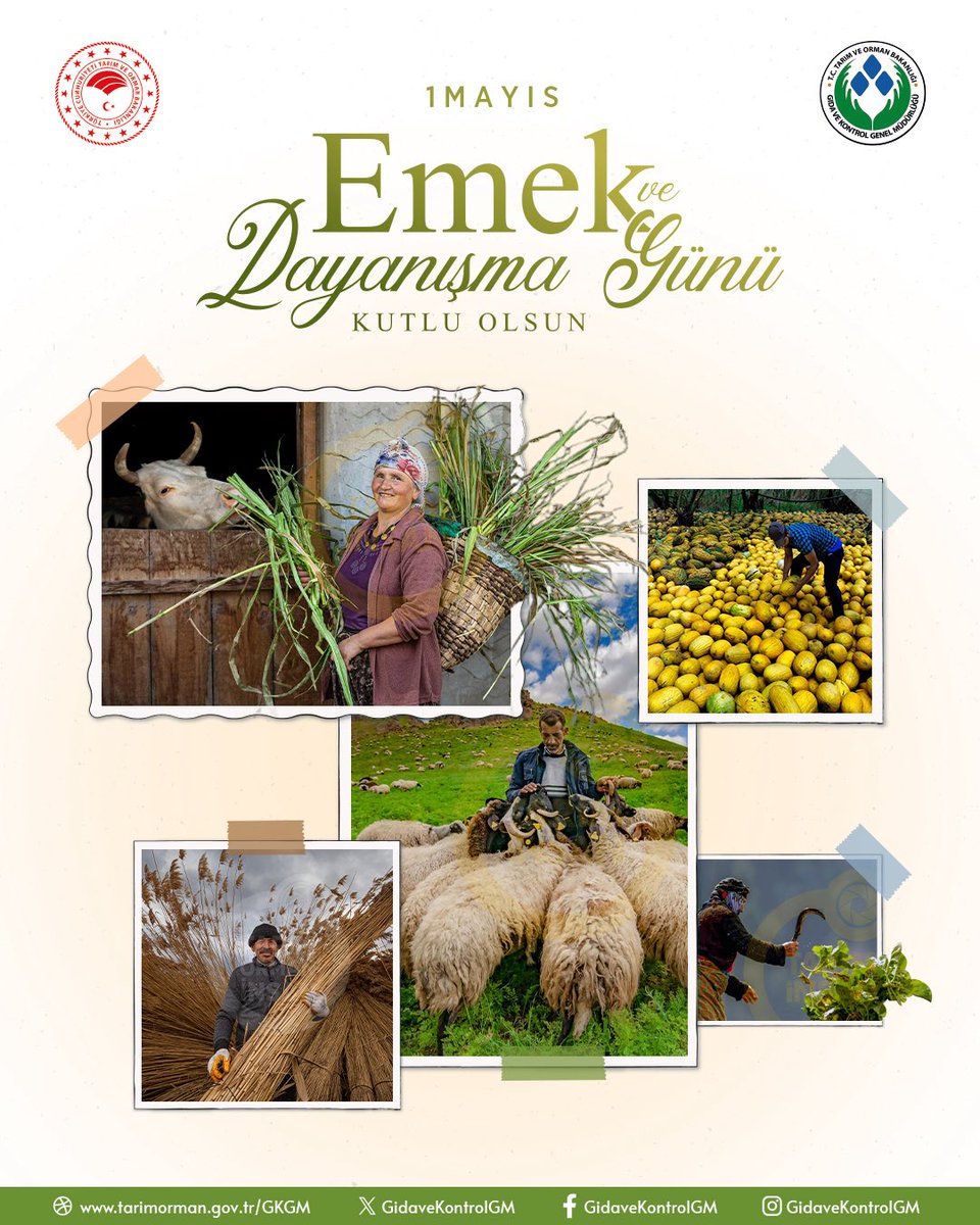 1 Mayıs Emek ve Dayanışma Günü: Muğla Tarım ve Orman Müdürlüğü'nden Tüm Emekçilere Kutlama