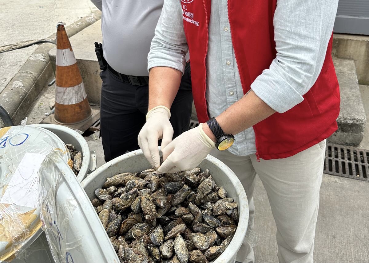 Muğla'da Otobüs Bagajında Ele Geçirilen 100 Kilogram İşlenmemiş Midye