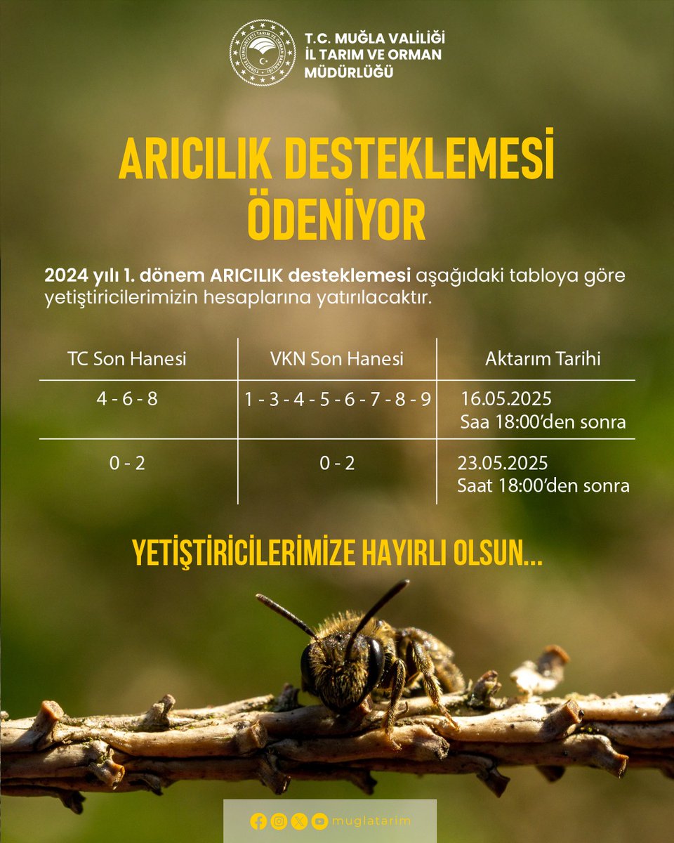 Muğla'da Arıcılar 2024 Yılı İlk Dönem Arıcılık Desteklemesini Almaya Başladı