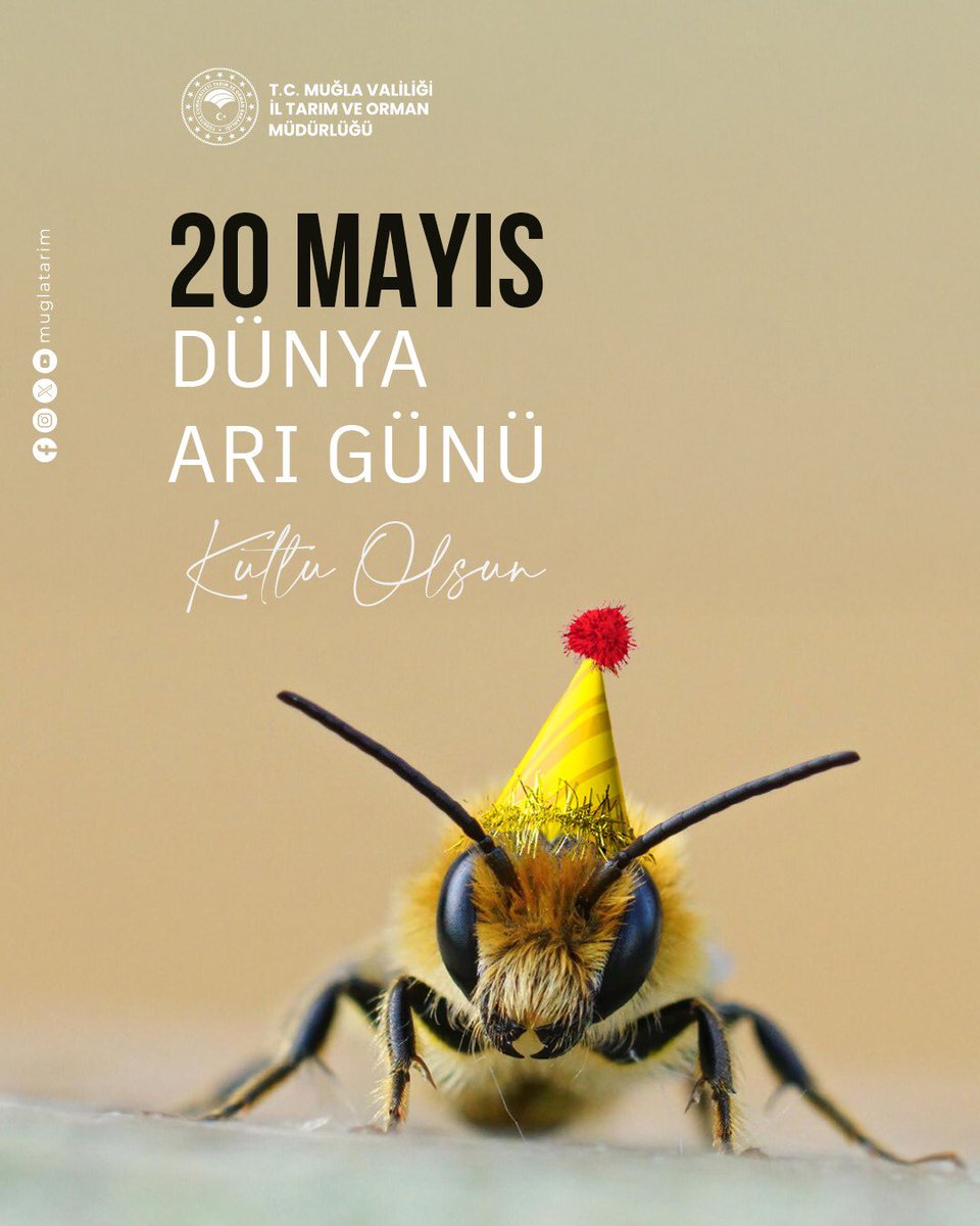 Arıların Önemi Vurgulandı: Tarımın Geleceği Tozlaşmaya Bağımlı