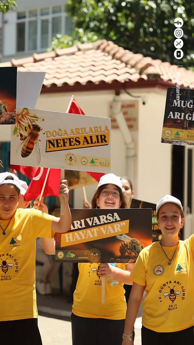 Muğla'da Arı Günü Coşkuyla Kutlandı