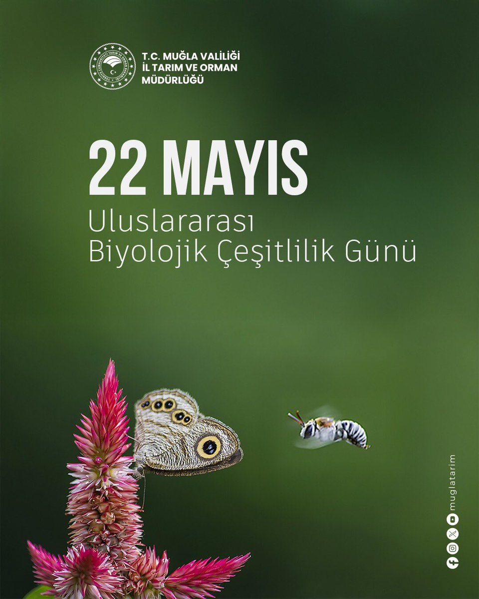 22 Mayıs Uluslararası Biyolojik Çeşitlilik Günü: Doğayla Uyumun Önemi Vurgulandı