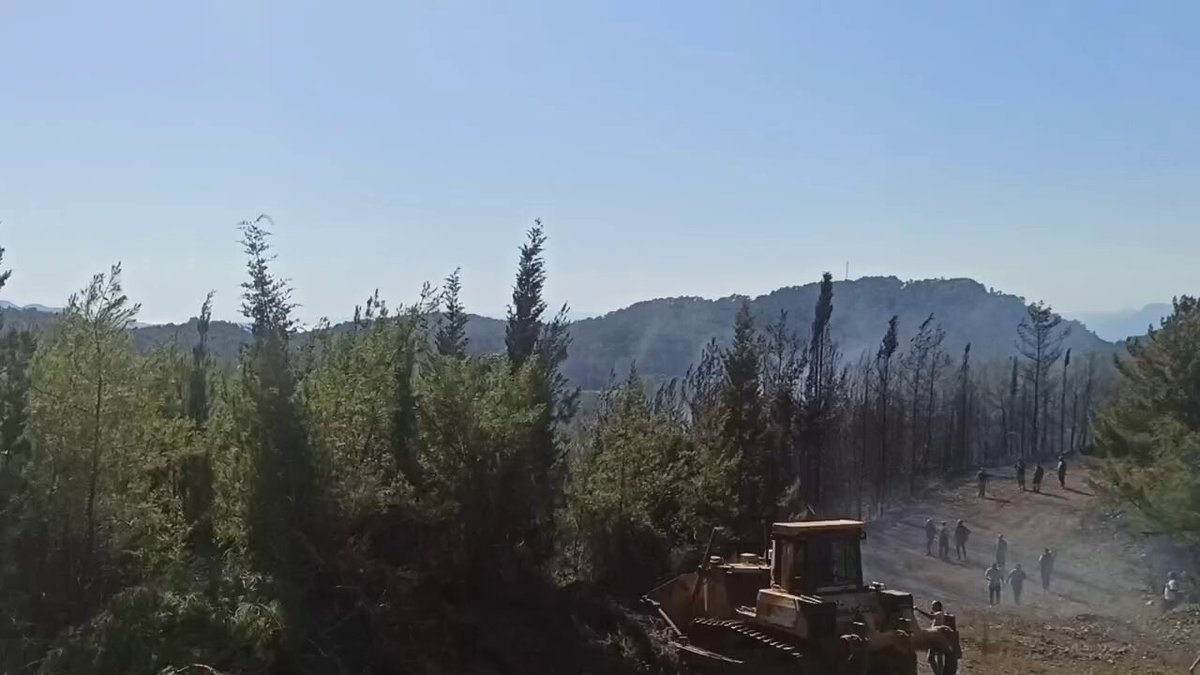 Marmaris'te Orman Yangını Kontrol Altına Alındı
