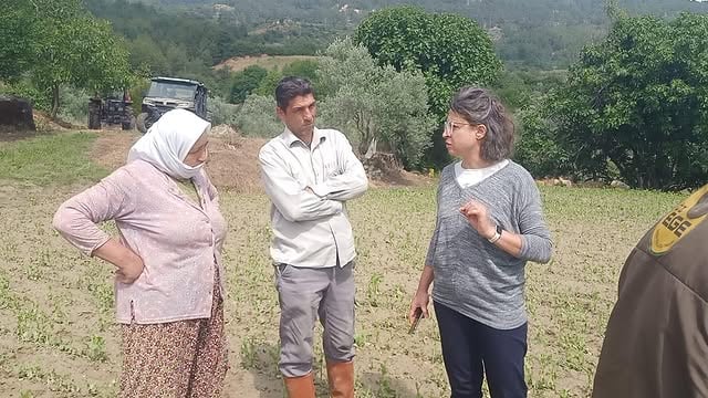 Muğla'da Dolu Yağışının Ardından Tarım Alanlarında Zarar Tespiti Başladı