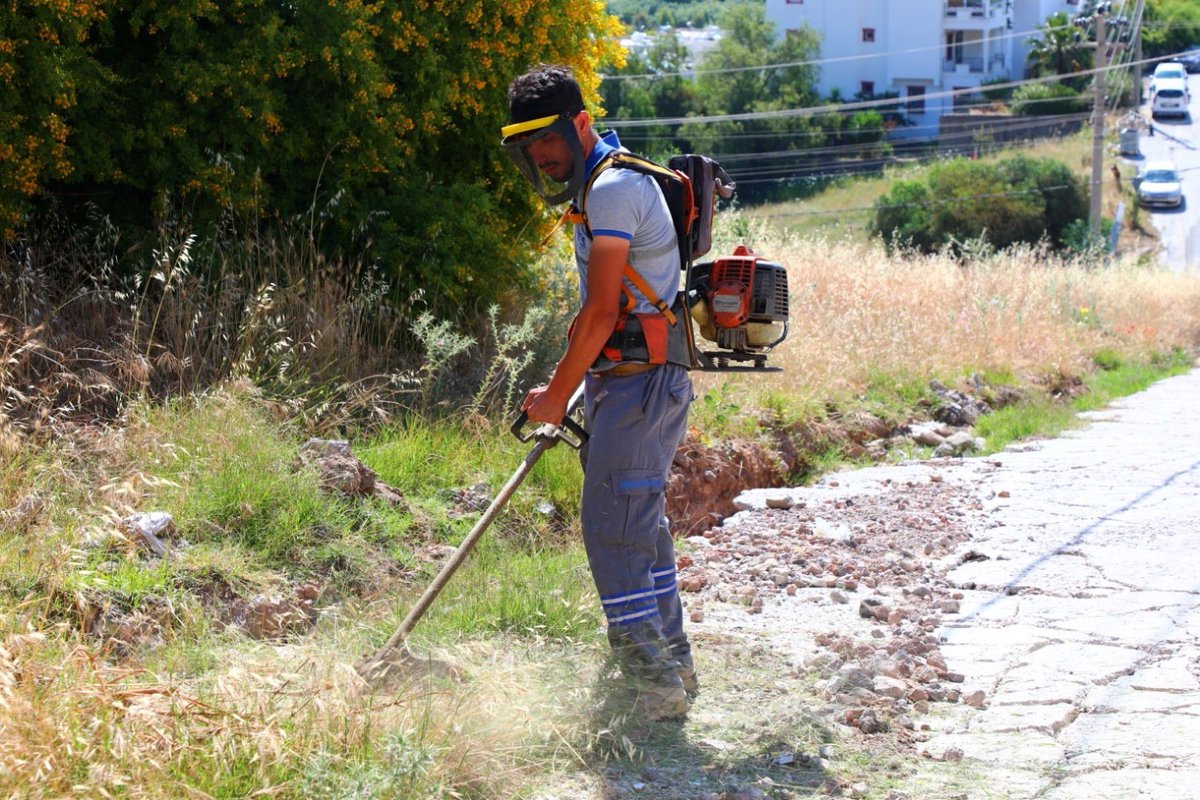 Bodrum'da Park ve Bahçeler Müdürlüğü'nden Geniş Kapsamlı Ot Temizliği ve Budama Çalışması