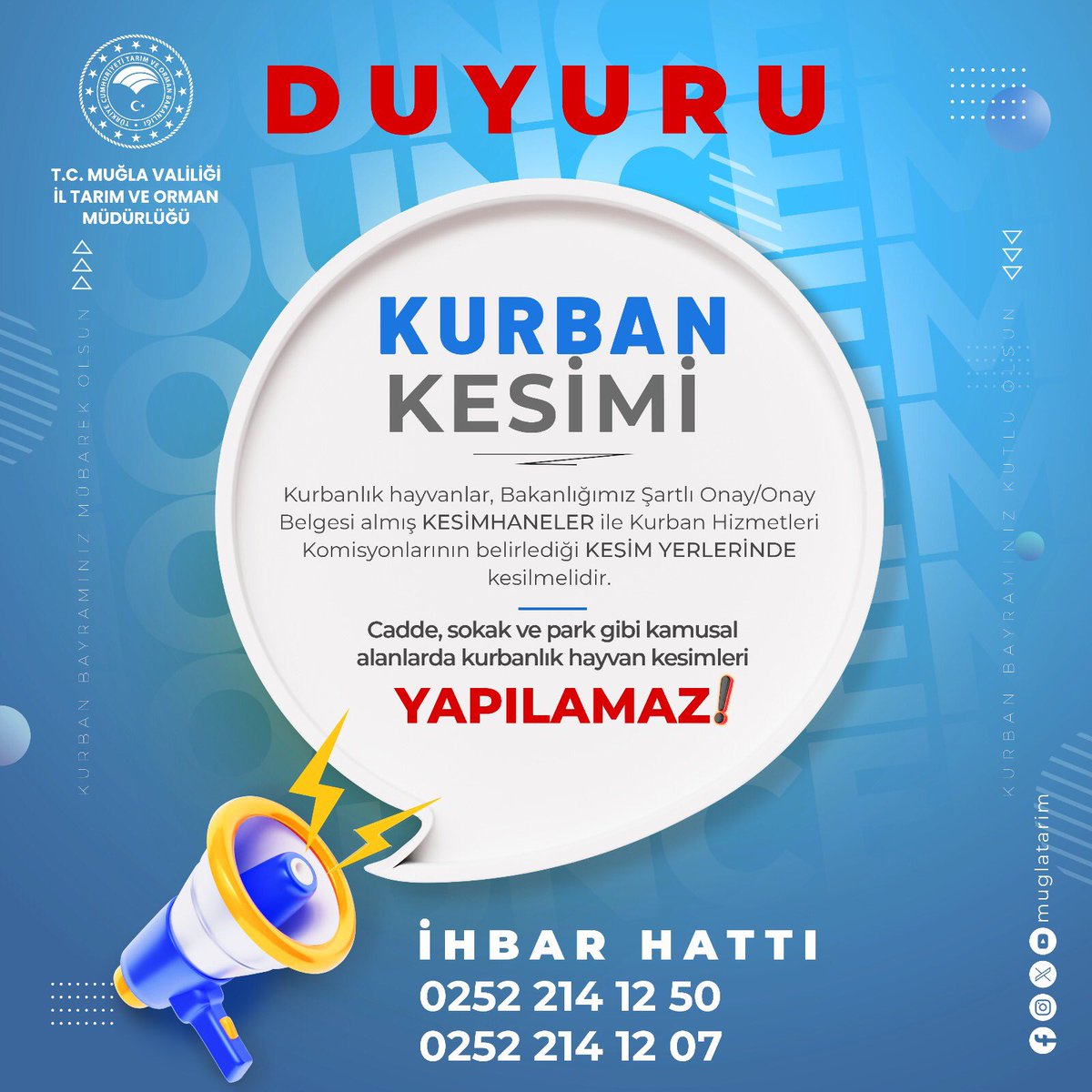 Muğla'da Kaçak Kesim ve Hayvanlara Eziyete Yüksek Ceza