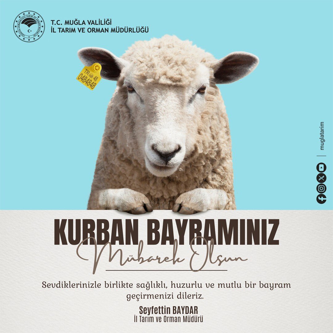 Muğla'da Kurban Bayramı Kesimlerinde Hijyen ve Refah Vurgusu
