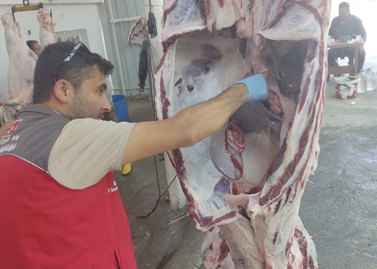 Muğla'da Kurban Bayramı Denetimleri Aralıksız Sürüyor