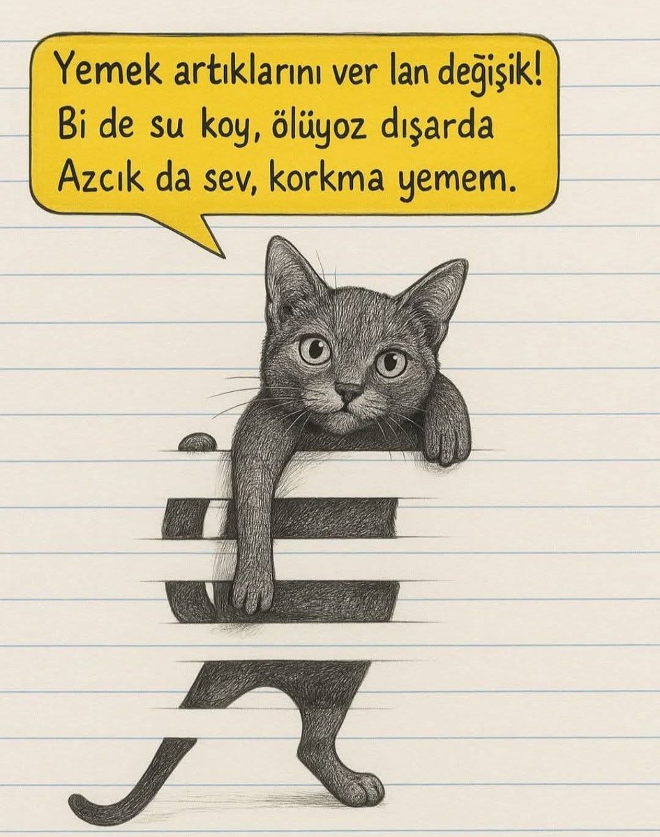 Datça Belediyesi Yaz Klasikleri Paylaşımı Yapıldı