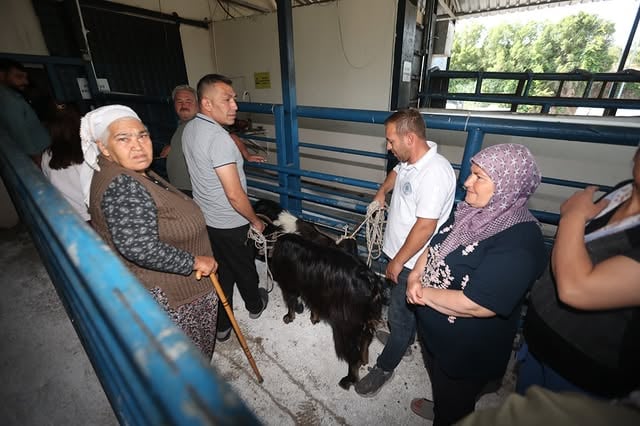 Muğla'da Kurban Bayramı'nda 1543 Hayvan Kesildi