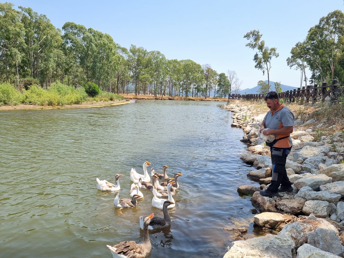 Marmaris Belediyesi Hisarönü Mesire Alanı'nda Mutlu Hafta Sonları Dileği