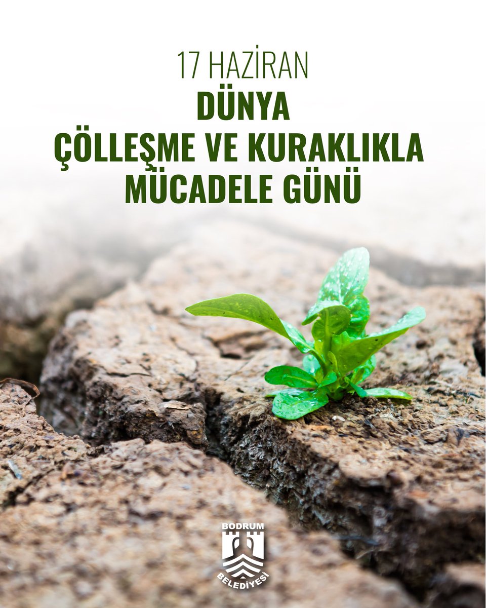 Bodrum Belediyesi PRIMA Projesi ile Topraksız Tarıma Geçiyor