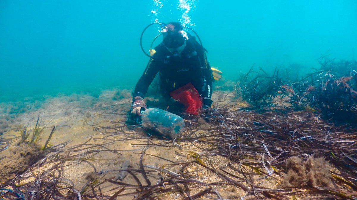 Bodrum Deniz Dibini Temizleme Çalışmaları Turgutreis'te Devam Ediyor