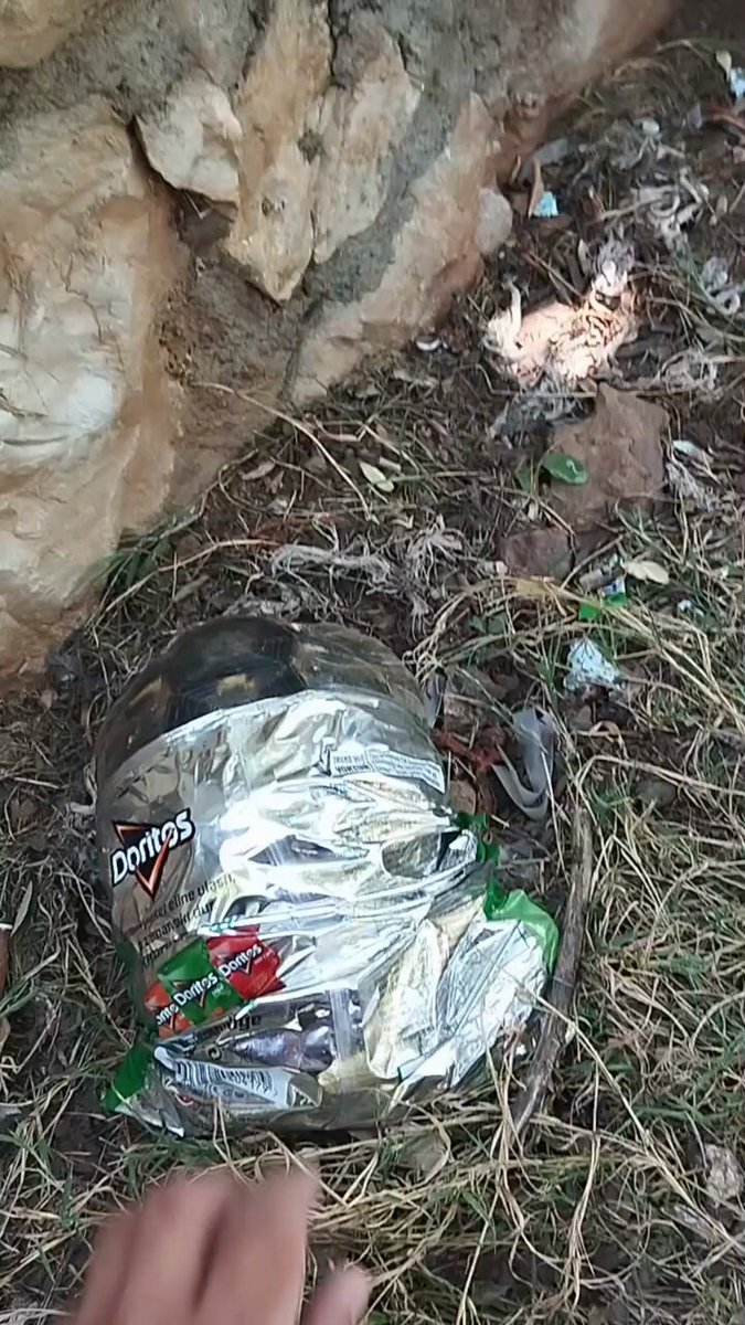 Marmaris'te Parkta Sıkışan Kaplumbağa Kurtarıldı