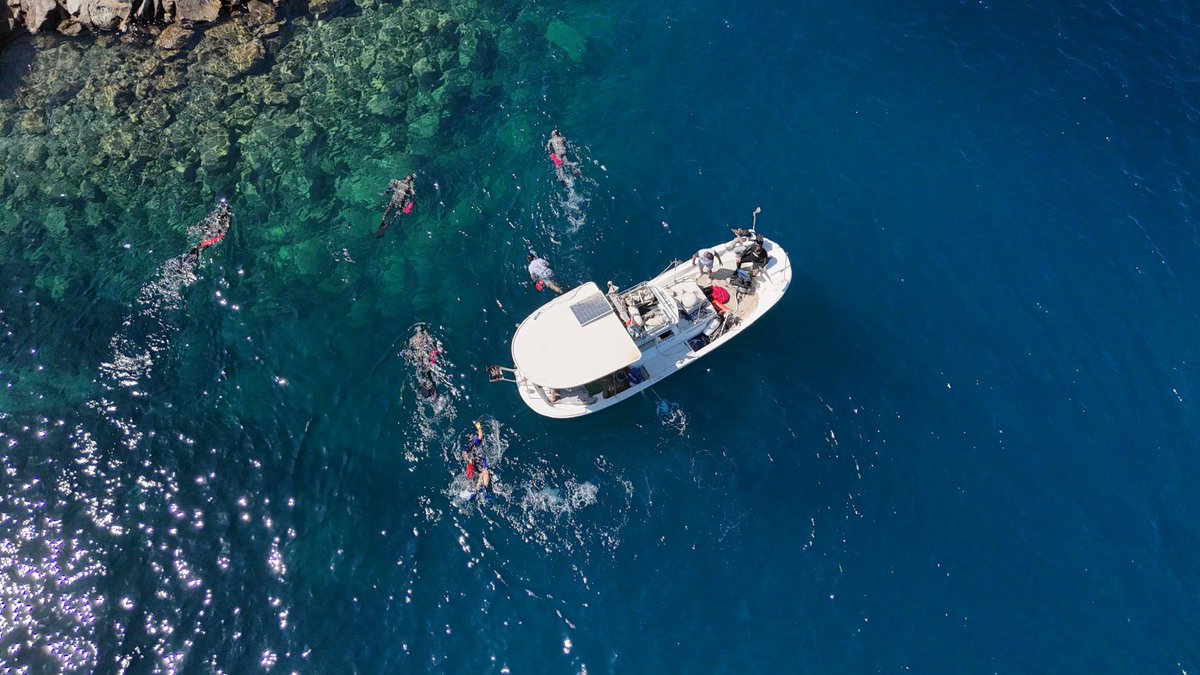 Bodrum'da Deniz Dibi Temizliği Devam Ediyor: Yalıkavak'ta 161 Kilogram Atık Toplandı