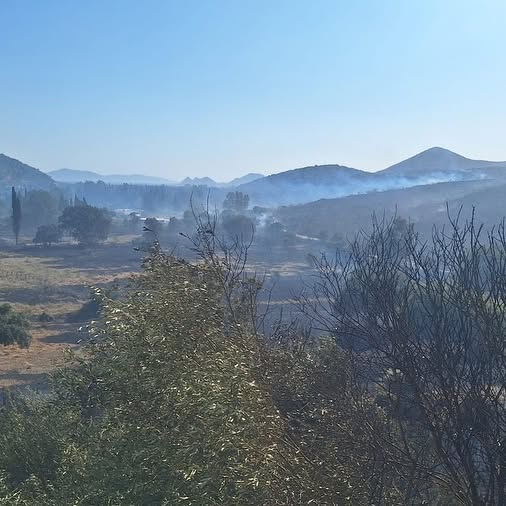 Bodrum'da Arazi Yangını Kısmen Kontrol Altına Alındı