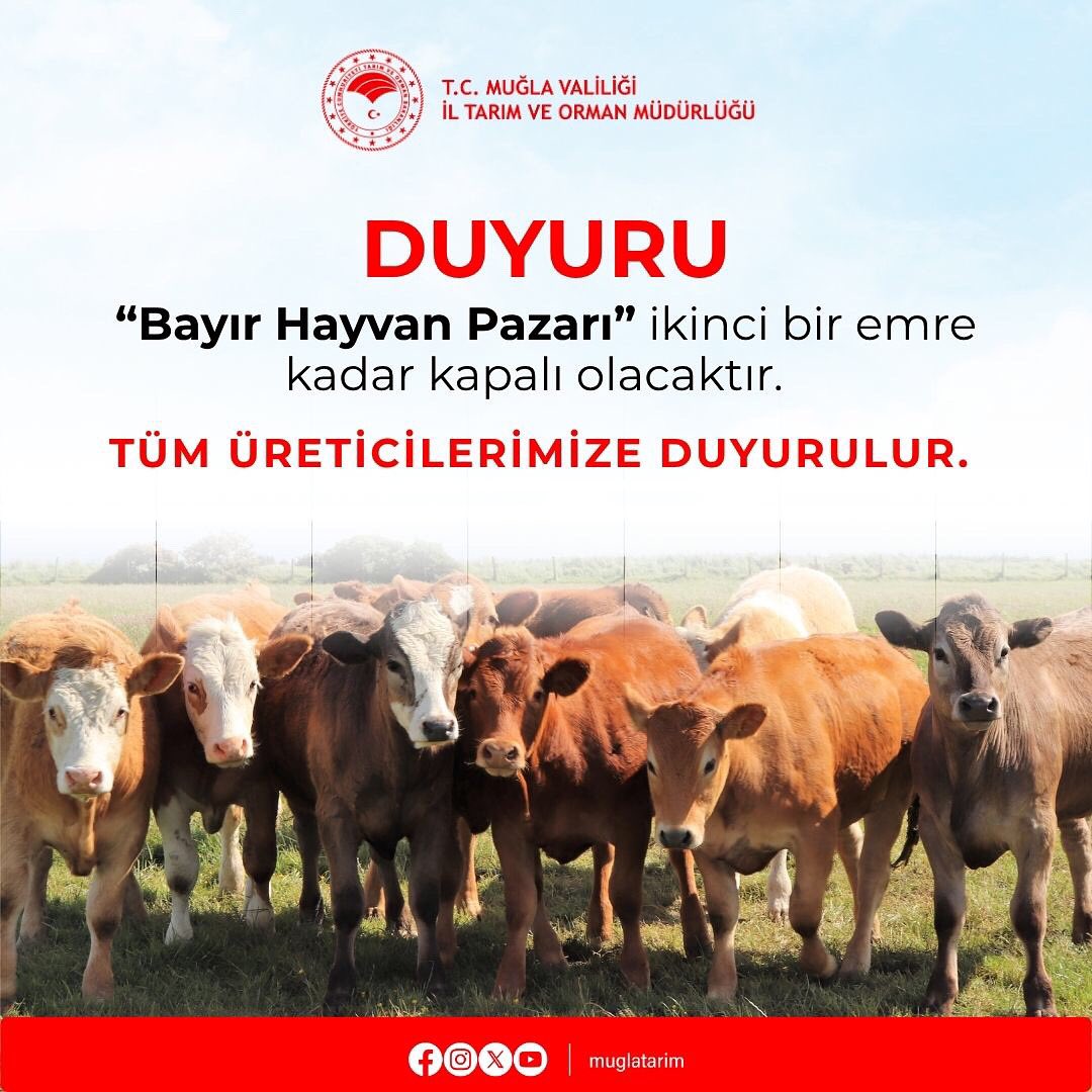 Muğla'da Bayır Hayvan Pazarı Kapatıldı