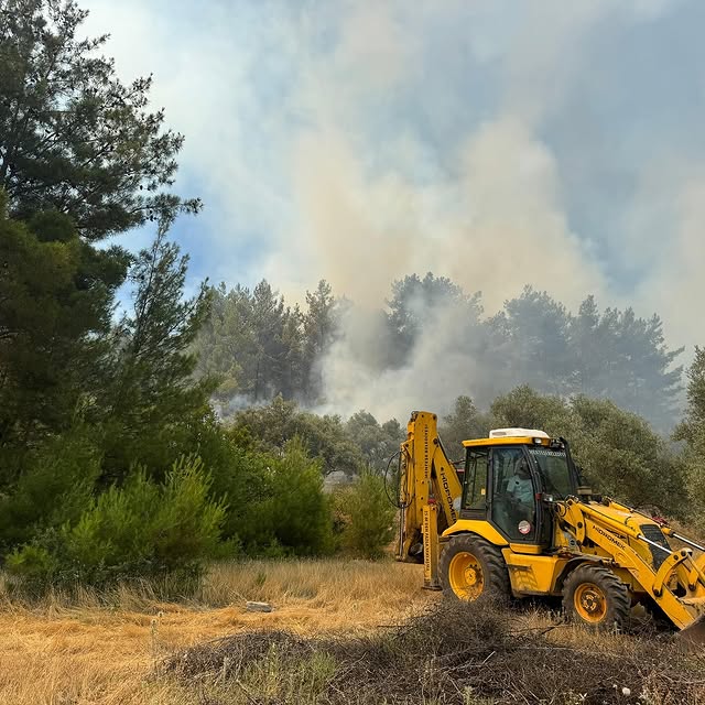 Muğla'da Orman Yangını Kısmen Kontrol Altına Alındı