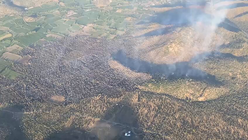 Muğla Milas'ta Orman Yangınına Hızlı Müdahale: 4 Uçak, 5 Helikopter Seferber Edildi
