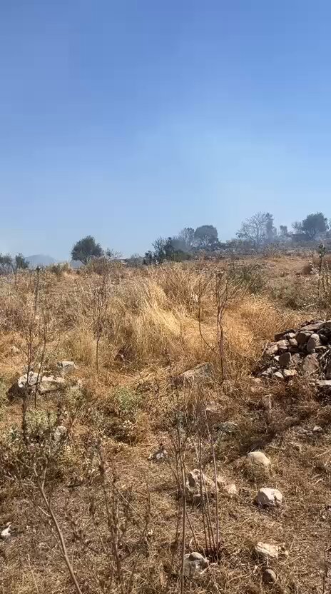 Muğla'da Orman Yangınına Karşı Tehdit Alarmı: Valilik, Tüm Güçlerle Seferber Oldu