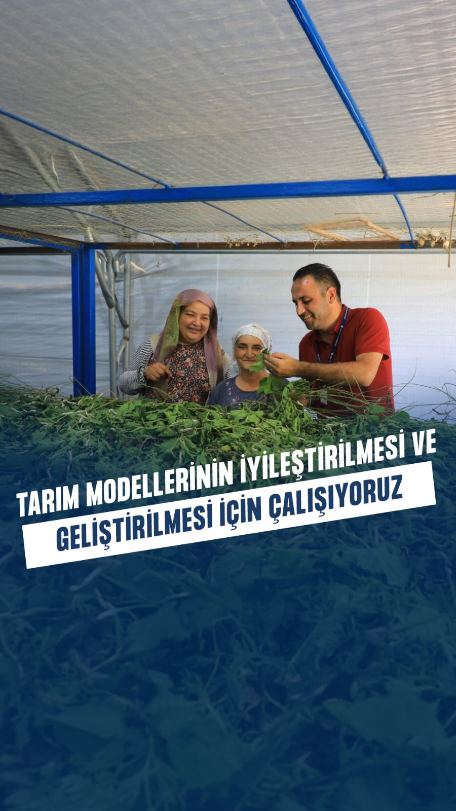 Muğla'da İpekböcekçiliği Canlanıyor: Yerel Üreticilere Destek