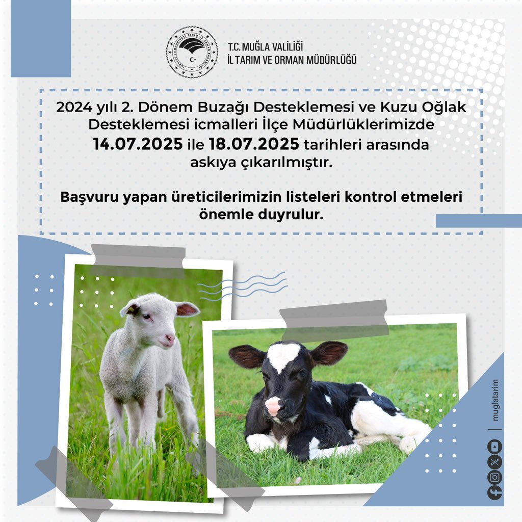 Muğla'da Buzağı ve Kuzu Oğlak Desteklemeleri Askıya Çıkarıldı