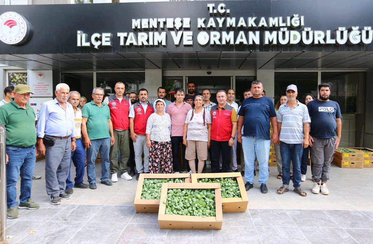 Muğla'da Kışlık Sebze Üretimi Canlanıyor: 162 Bin Fide Dağıtıldı