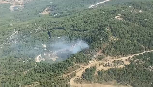Muğla Milas'ta Orman Yangını: Ekipler Havadan ve Karadan Müdahale Ediyor