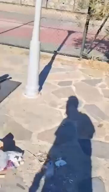 Bodrum Belediyesi Parkları Temizlik ve Koruma Çalışmalarına Devam Ediyor