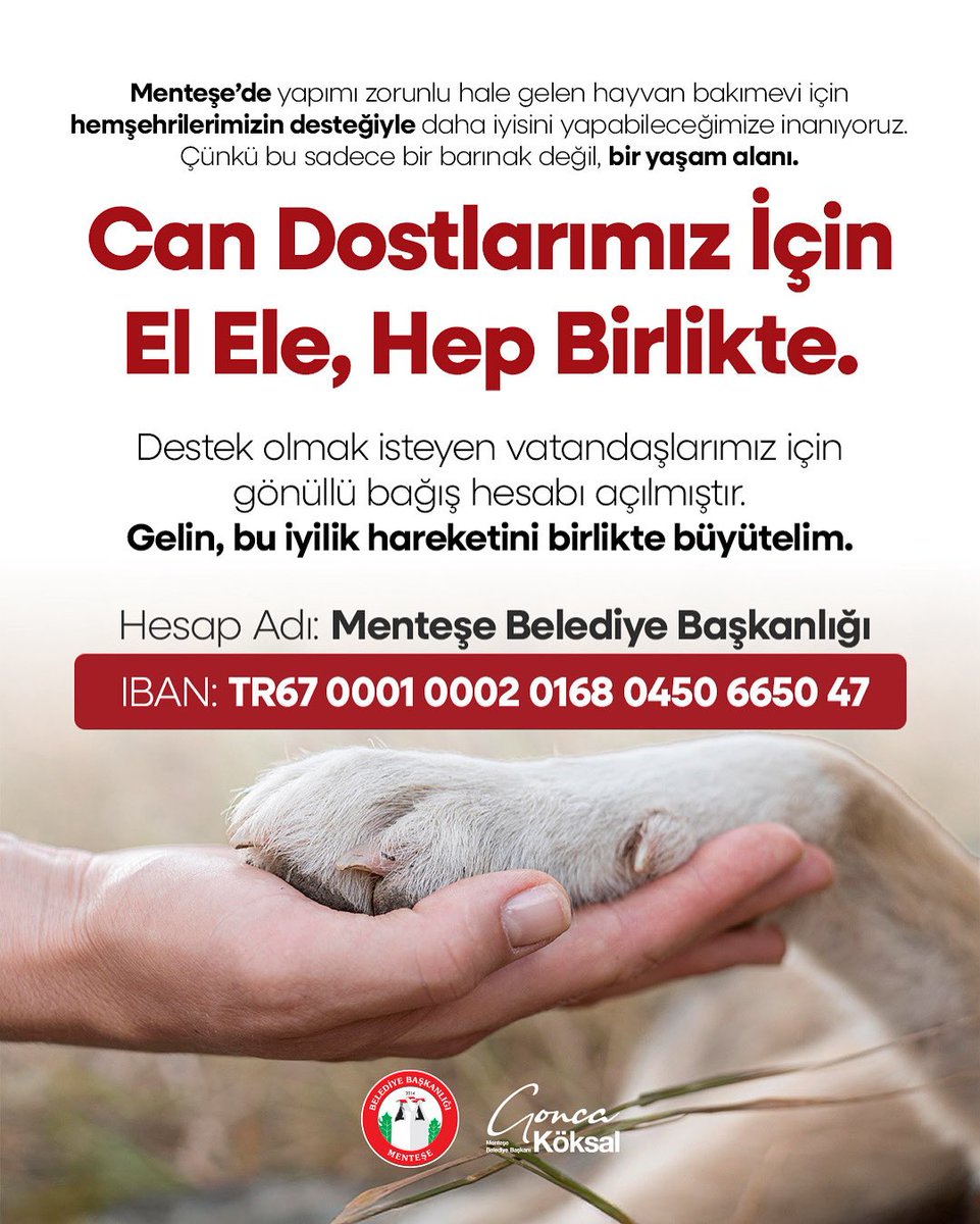 Menteşe'de Hayvan Bakımevi Projesi Başlıyor: Yaşam Alanı Yaklaşımıyla İyilik Hareketi