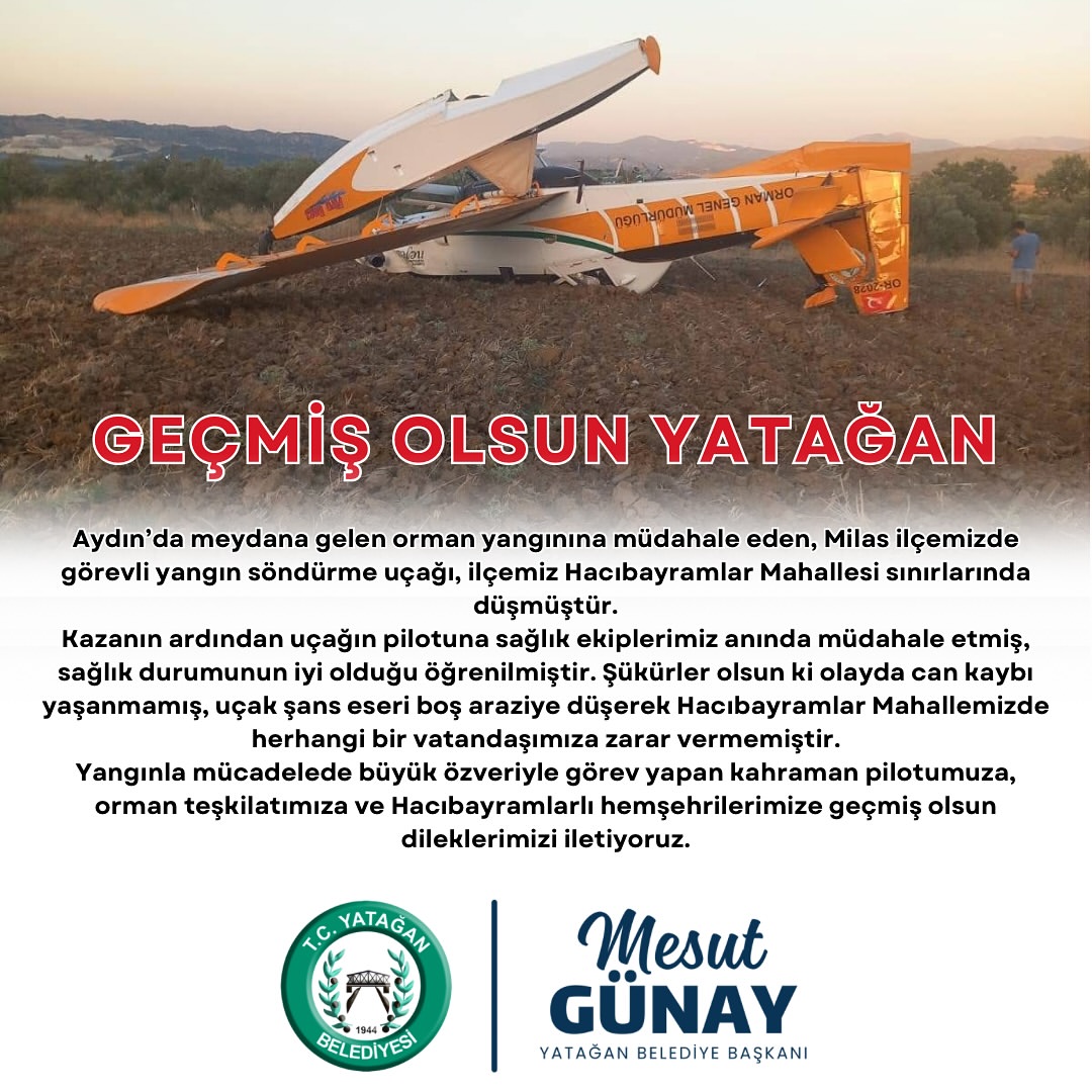 Aydın'da Orman Yangını Söndürme Uçağı Düştü: Pilot Kurtarıldı