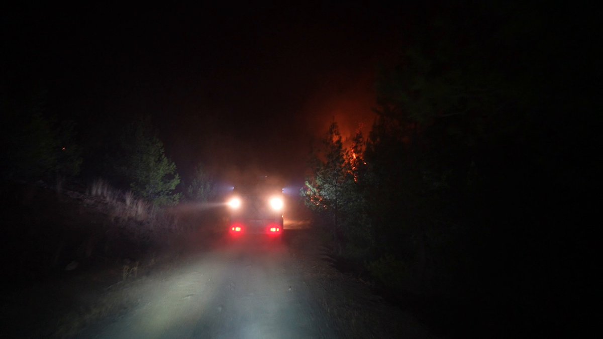Muğla'da Orman Yangınlarıyla Mücadele Devam Ediyor