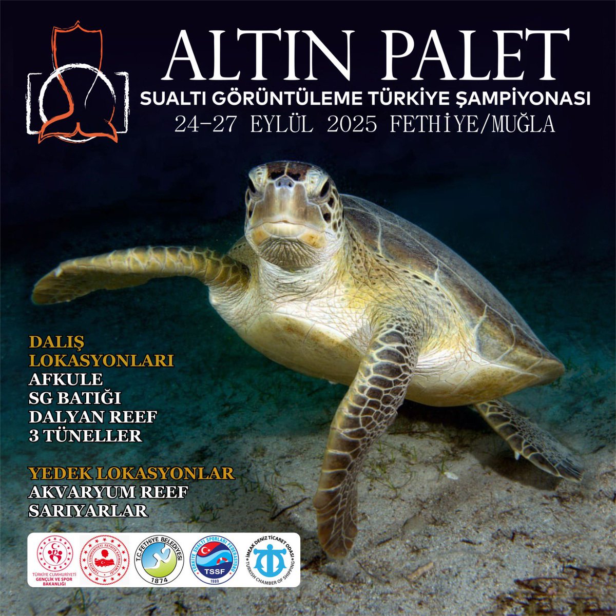 Fethiye'de Altın Palet Sualtı Görüntüleme Şampiyonası Düzenleniyor